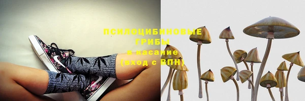 бошки Алексеевка