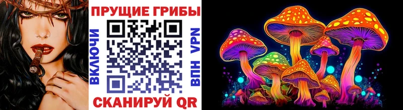 Псилоцибиновые грибы Psilocybe  Купить где  Медынь 